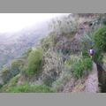 Tagebuch / Bilder von Madeira