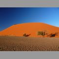 Tagebuch / Bilder Namibia 2010